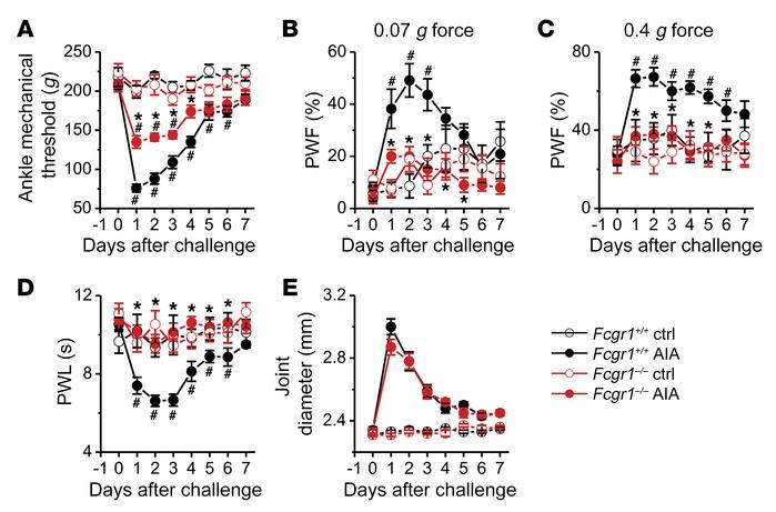 FcγRI modulates arthritis pain in the AIA model.
Time course of mechanic...