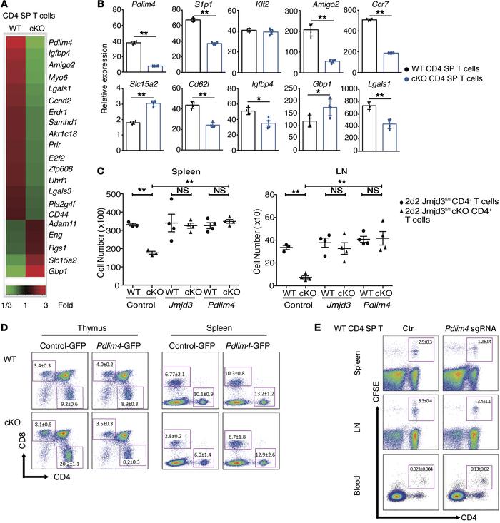 Identification of the JMJD3 target genes in CD4+ T cells and functional ...