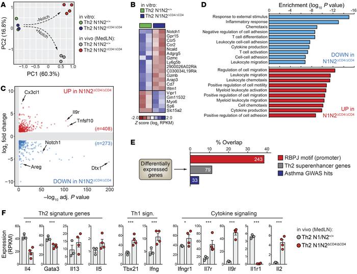 Transcriptome analyses implicate Notch signaling in Th2 cell cytokine re...