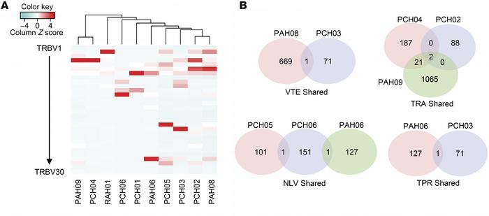 TRBV and CDR3 clonotypic overlap between ACT products.
(A) Heatmap showi...