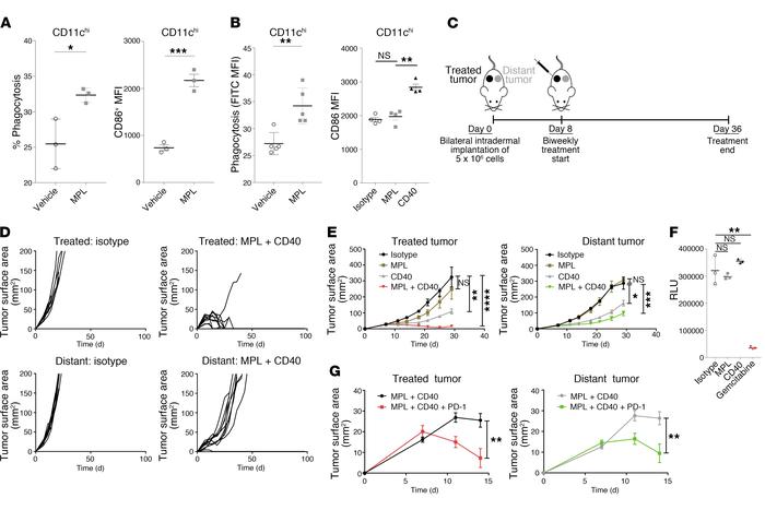 Agents that promote phagocytosis and APC activation, but not direct tumo...