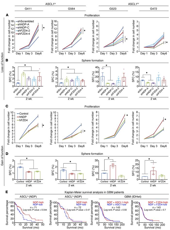 Jci Norrin Mediates Tumor Promoting And Suppressive Effects In Glioblastoma Via Notch And Wnt jci