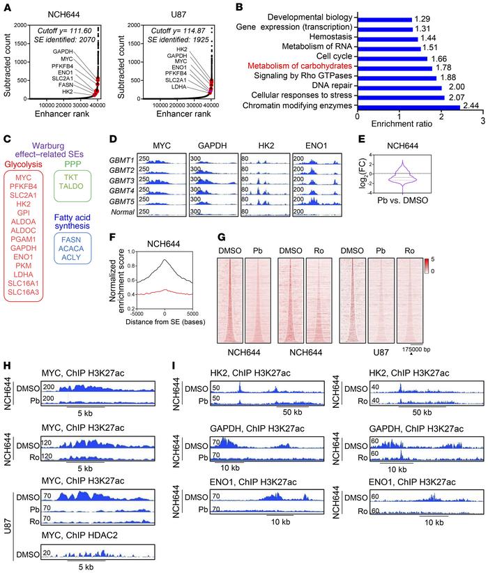 Identification of super-enhancers in the desert of Warburg effect–relate...