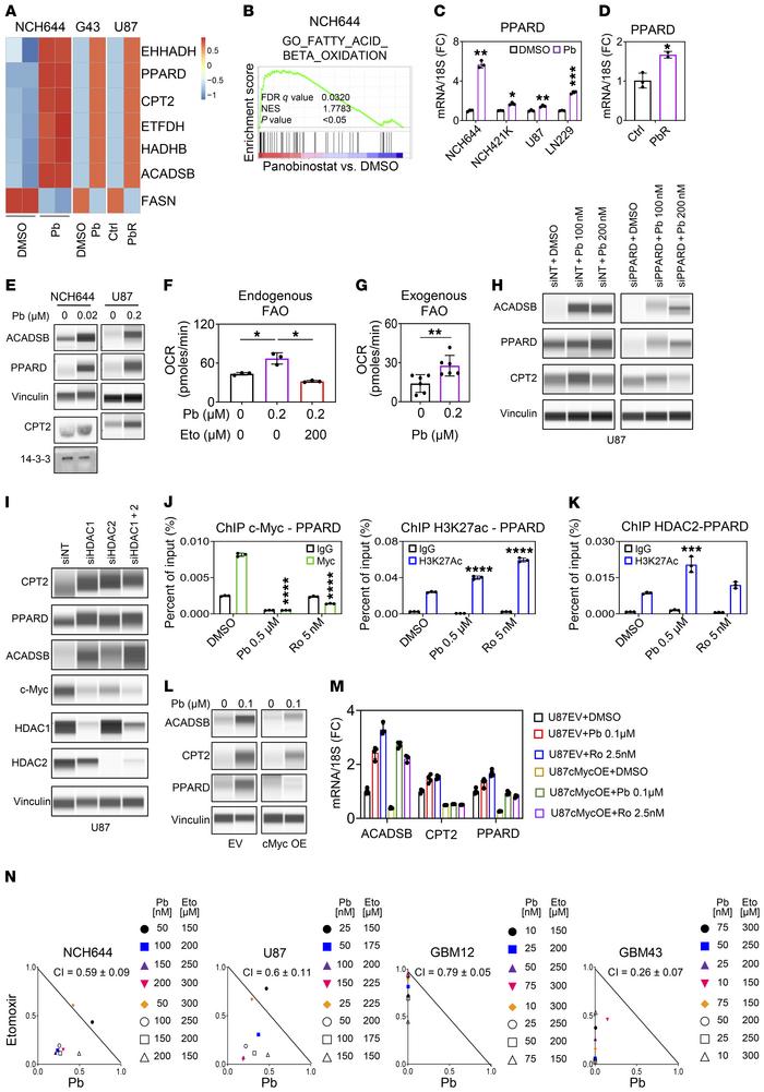 HDAC inhibitors drive lipid catabolism with activation of β-oxidation in...