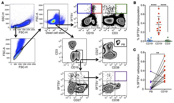 Peripheral-blood plasmablasts do not show higher susceptibility to SFTSV...