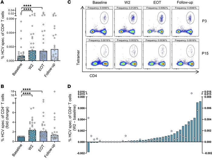 Frequency of HCV-specific CD4+ T cells increases shortly after initiatio...