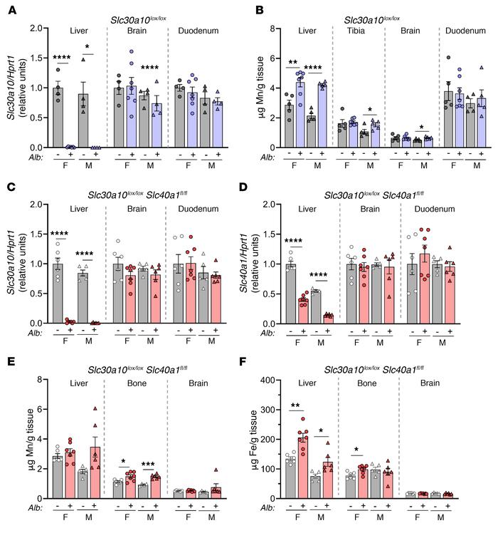 JCI Manganese transporter Slc30a10 controls physiological manganese
