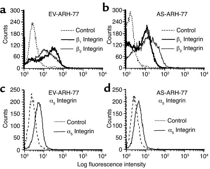 Immunofluorescence staining for CD18, CD29, and CD49e. Cells were staine...