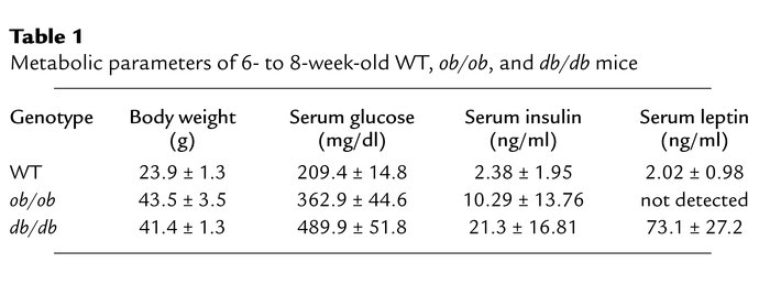 Metabolic parameters of 6- to 8-week-old WT, ob/ob, and db/db mice