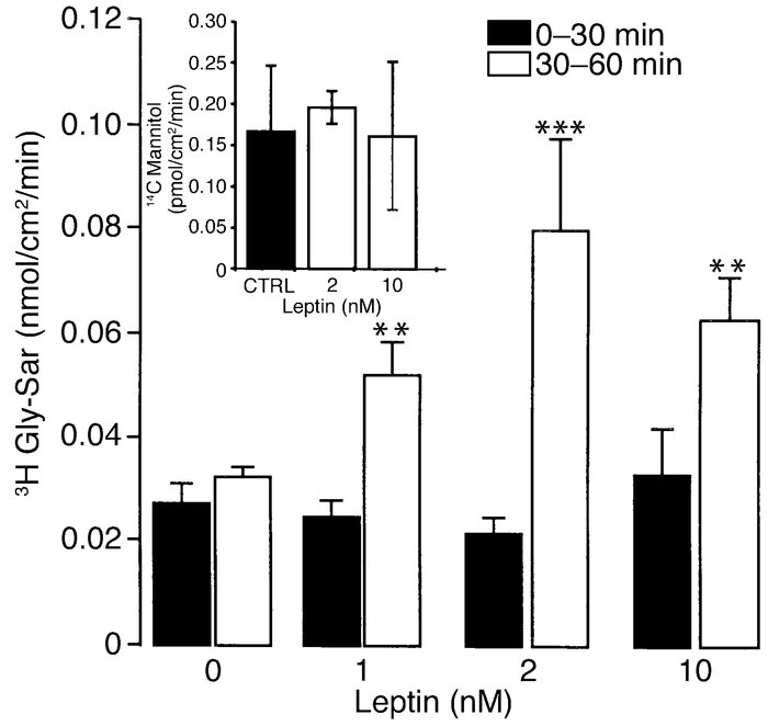 Dose-response curve of Gly-Sar transport stimulation by leptin. Caco-2 c...