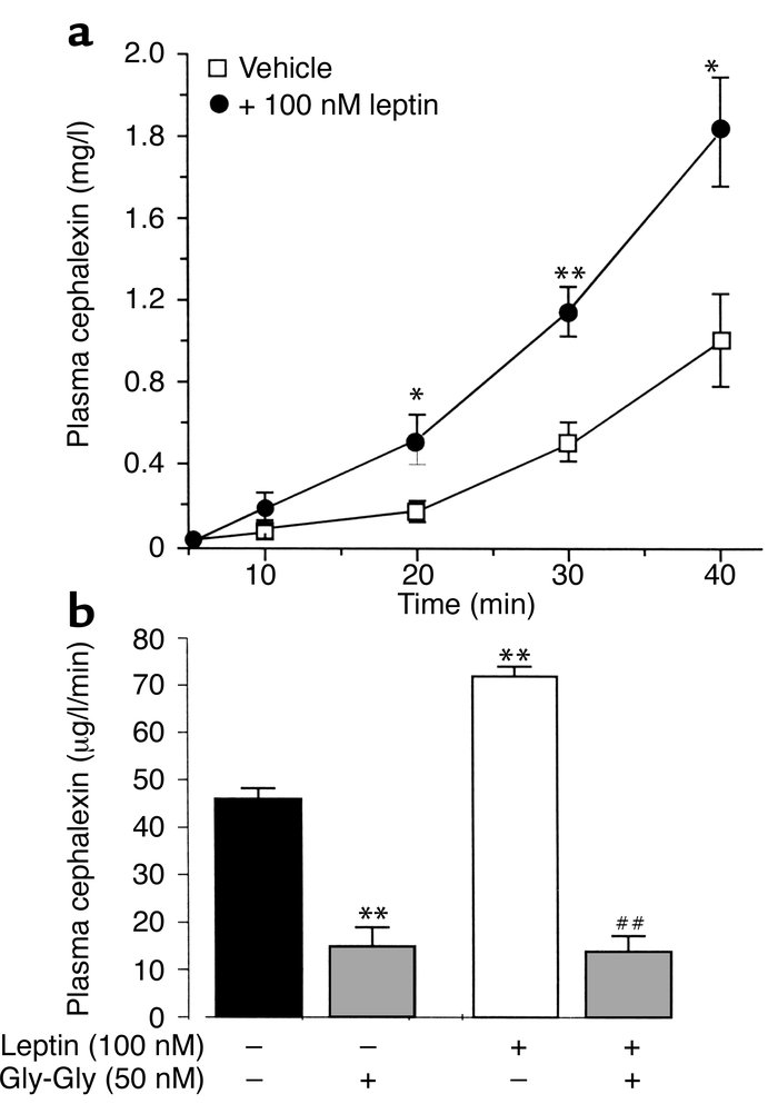 Leptin increases CFX absorption in vivo. (a) Evolution of plasma concent...