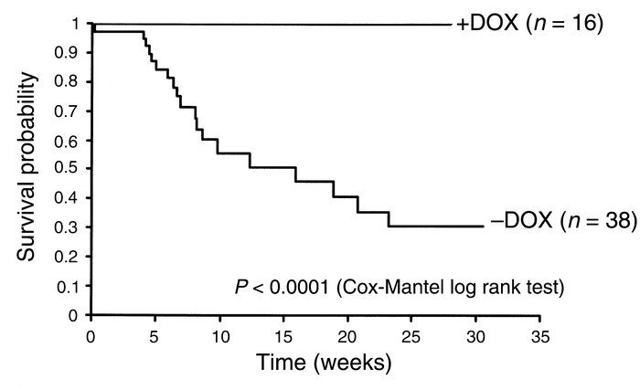 Kaplan-Meier analysis of survival in iNOS+/αMtTA+ mice in the presence a...
