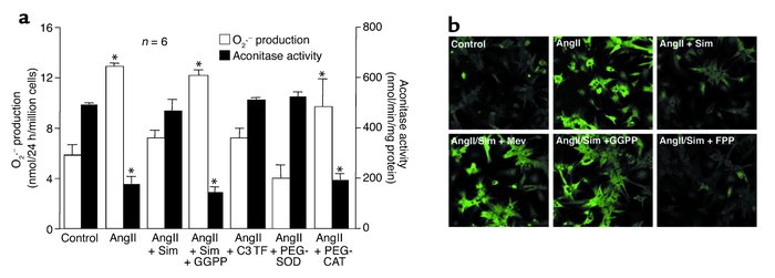 Inhibition of superoxide anion production and intracellular oxidation by...