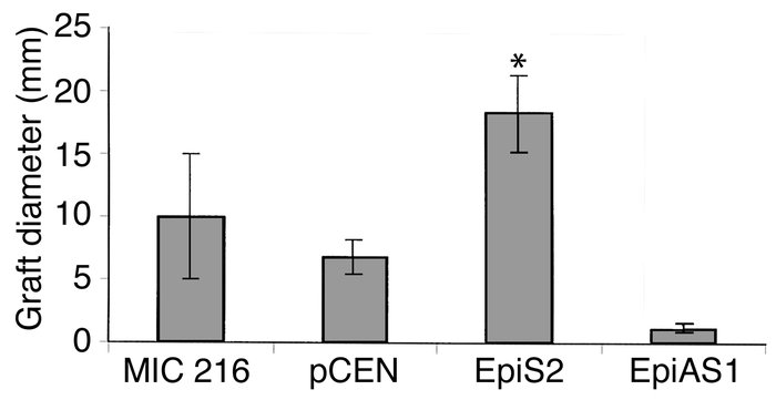 Mean diameters of chick intracoelomic hybrid intestinal grafts derived f...