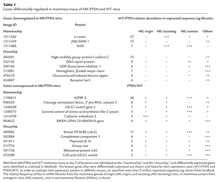 Genes differentially regulated in mammary tissue of MK-PTEN and WTmice