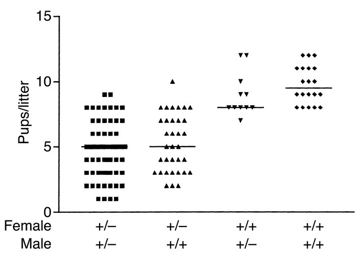 Female mice heterozygous for deletion of the Man/GalNAc-4-SO4 receptor h...