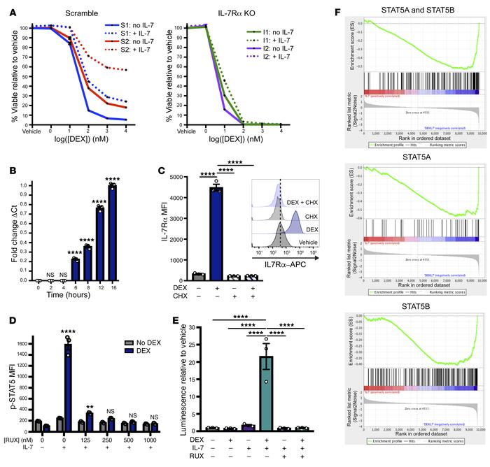 DEX exposure augments IL-7R expression and downstream JAK/STAT signaling...