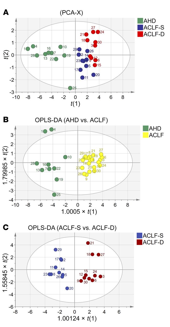 PCA and OPLS-DA of candidate biomarkers.
(A) Unsupervised PCA model of p...