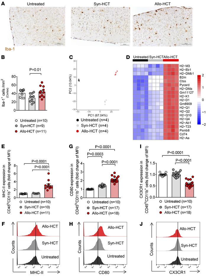 Microglial numbers and costimulatory molecules are increased during GVHD...