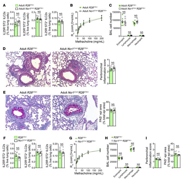 NK cell engagement is unique to maternal DEP-programmed AAD.
(A–E) Adult...