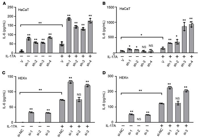 Downregulation of galectin-7 in keratinocytes causes an elevated product...