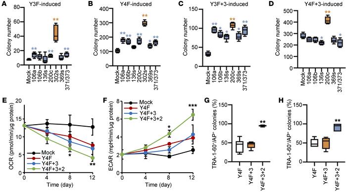 An improved reprogramming method combining Y4F and metabolism-regulating...