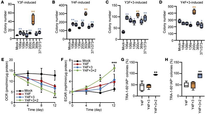 An improved reprogramming method combining Y4F and metabolism-regulating...