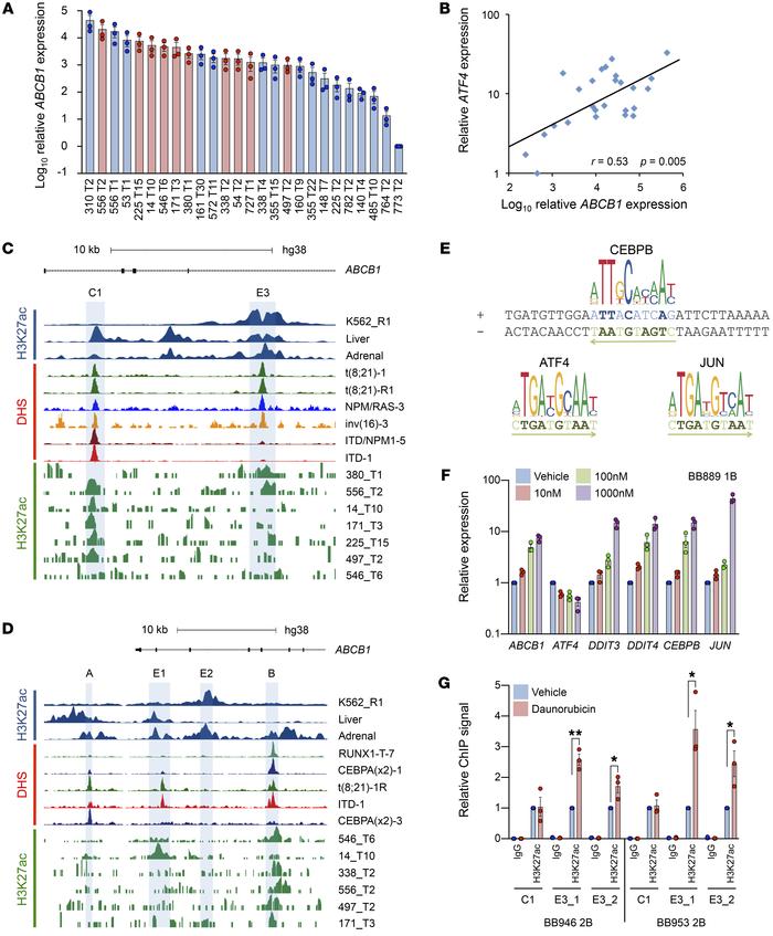 Daunorubicin activates a stress-responsive ABCB1 enhancer in primary AML...