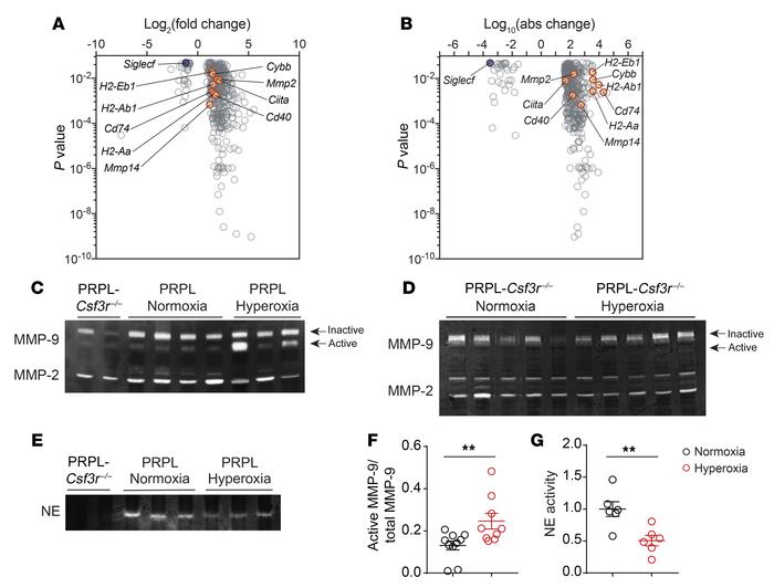 Relief of tumor hypoxia alters the transcriptional signature of tumor-as...
