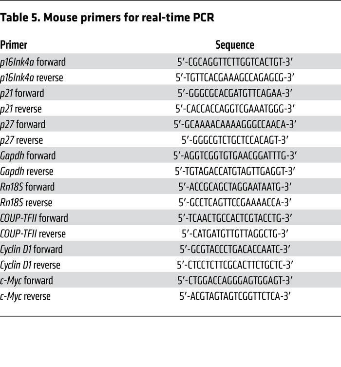 Mouse primers for real-time PCR