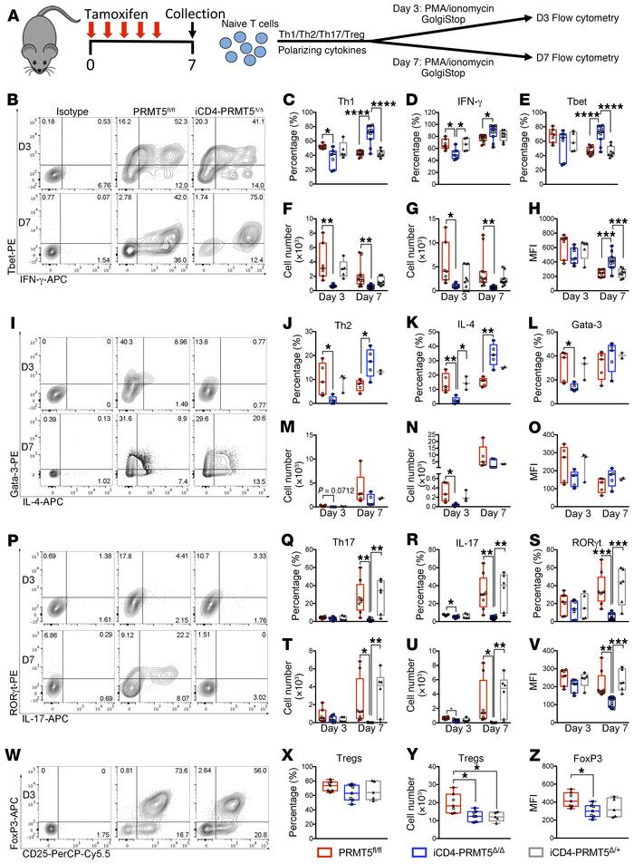 
Prmt5 deficiency in iCD4-PRMT5Δ/Δ T cells abrogates Th17 cell different...