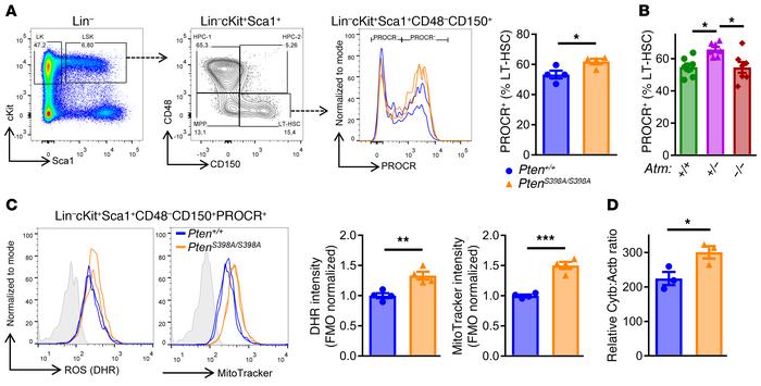 
PtenS398A/S398A hematopoietic stem cells tolerate elevated levels of ox...