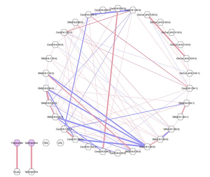 GGM of correlations between ceramide species and conventional lipid mark...