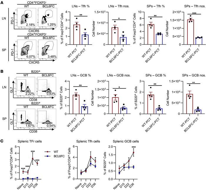 Tfr cells are required for normal Tfh and GCB cell numbers in a food all...
