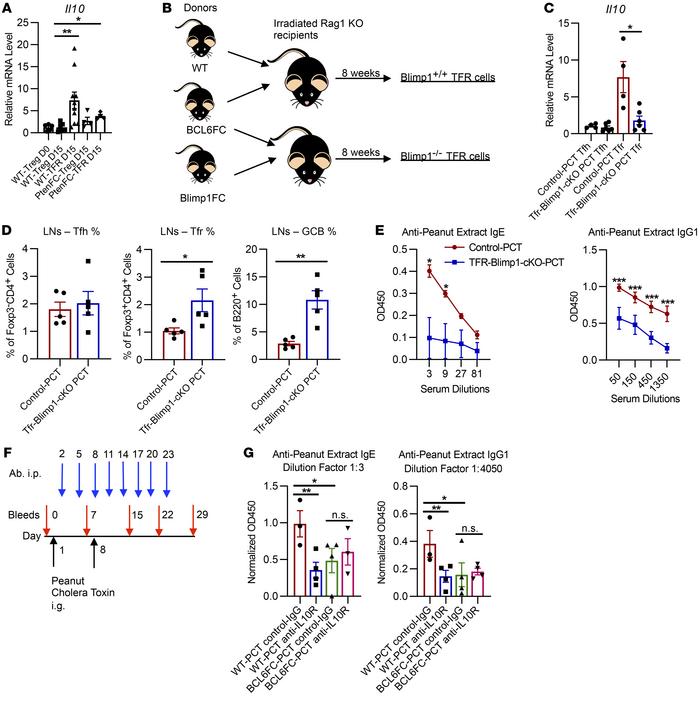 Blimp1-controlled Tfr cell–derived IL-10 is required for peanut-specific...