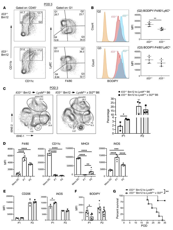 IL-33 targets intragraft myeloid cells to prevent rejection by upregulat...