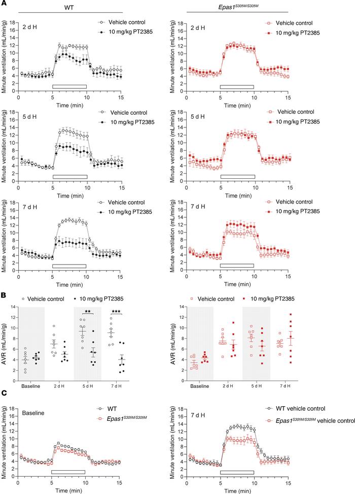 
Epas1S305M/S305M male mice are resistant to PT2385 effects on enhanced ...