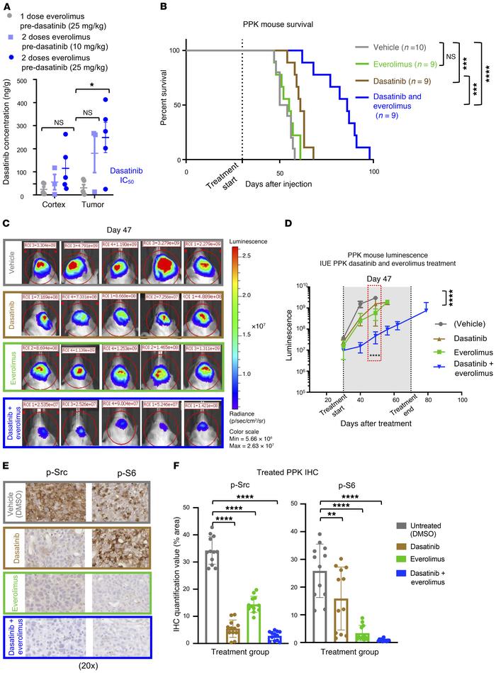 Sustained exposure of everolimus improves dasatinib tumor concentration ...
