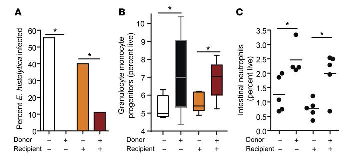 Bone marrow from C. scindens–colonized donors is sufficient to provide p...