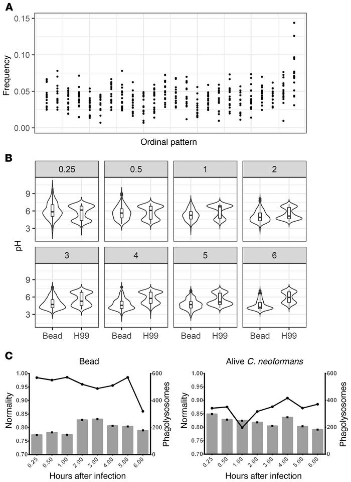 Human monocyte–derived macrophages acidify stochastically and approximat...