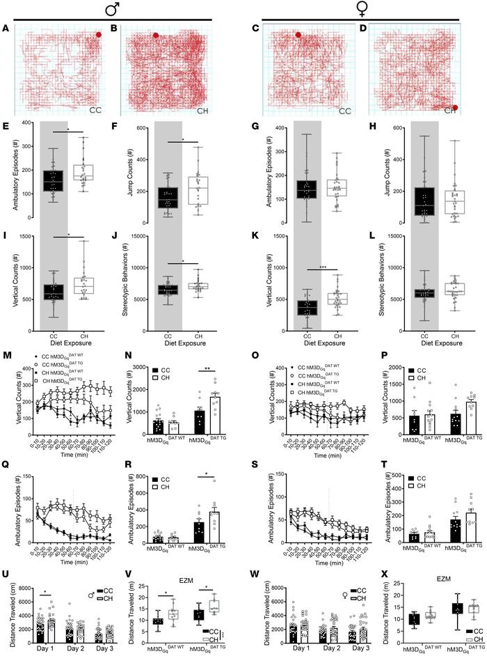 CH male offspring, and not females, exhibit hyperlocomotive behavior.
(A...