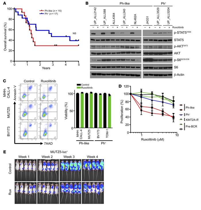 Poor clinical outcomes and inadequate treatment effects of JAK inhibitor...