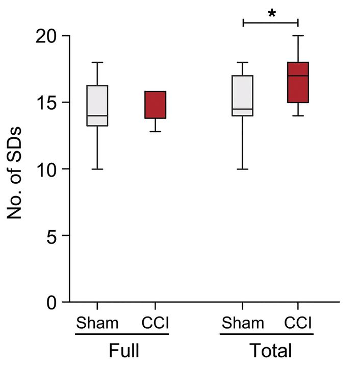 Increased susceptibility to SDs 1 week after CCI, with no neuronal swell...