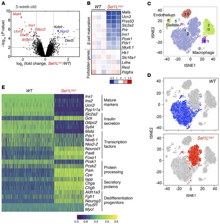 Nonbiased sequencing analyses establish the importance of Sel1L-Hrd1 ERA...