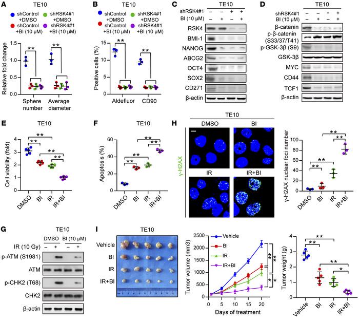 Disruption of the RSK4 pathway reduces CSC properties and improves the r...