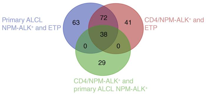 DMRs of NPM-ALK–transformed CD4+ T cells and primary patient–derived NPM...