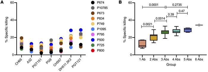 ADCC by individual and combination mAbs 2 hours after incubation of T+E+...