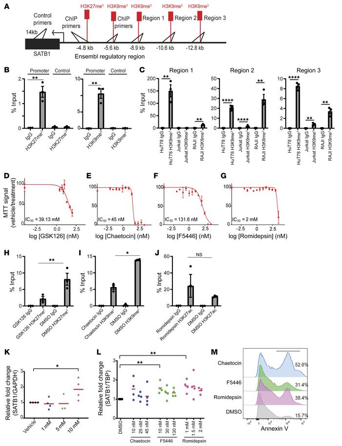 H3K27me3 and H3K9me3 occlude the SATB1 promoter in a Sézary cell line.
(...