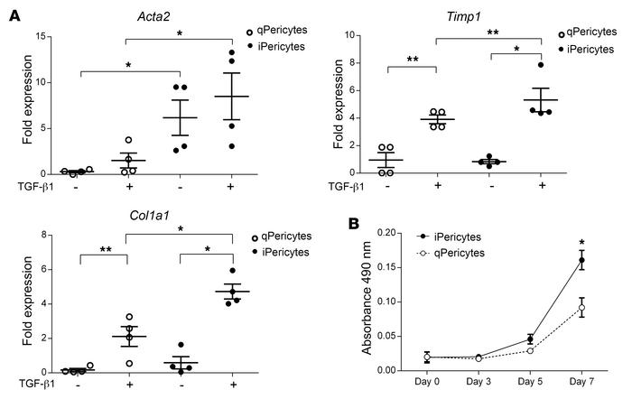 Inactivated pericytes retained a higher potential for fibrosis and cell ...