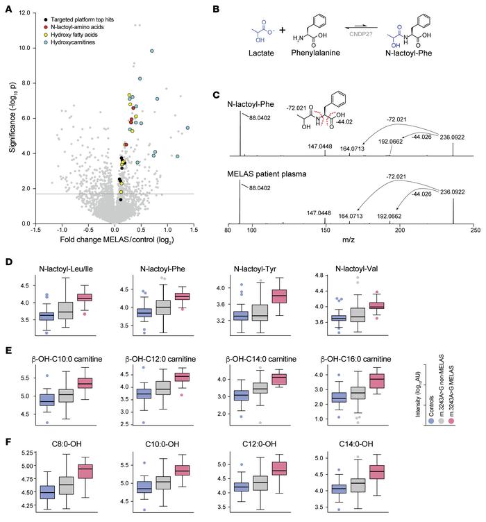 Biomarker discovery from untargeted metabolic profiling.
(A) The untarge...